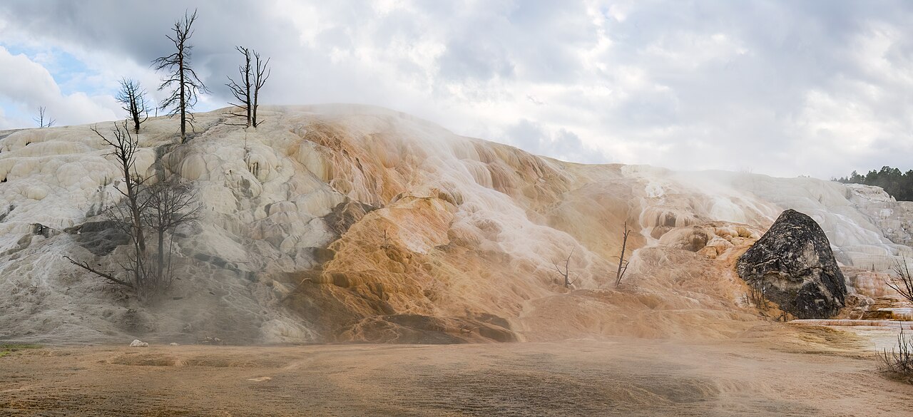 Mammoth Hot Springs